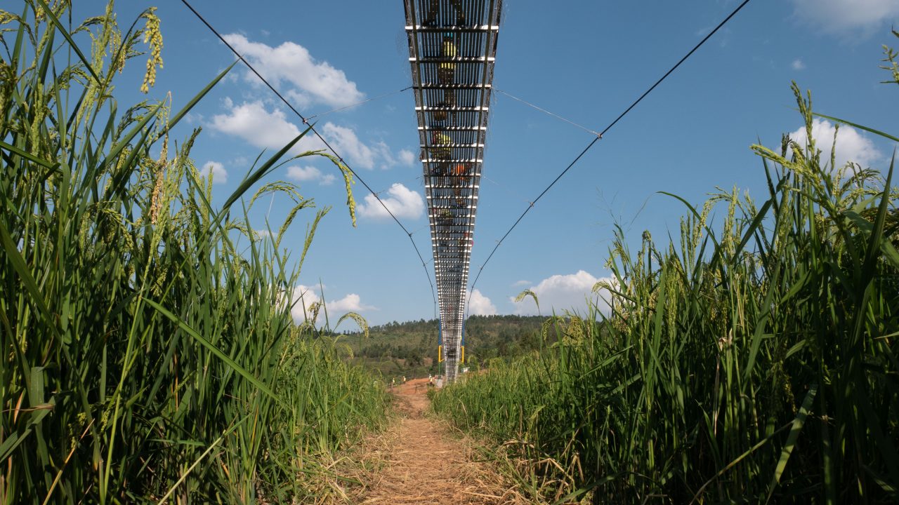 Rwanda Cyarera Bridge